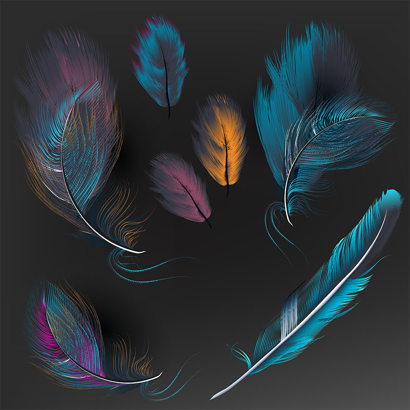 Ταπετσαρία χώρου Feather